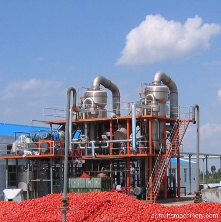 معدات تبخر الفراغ الدوارة الطماطم الصناعية