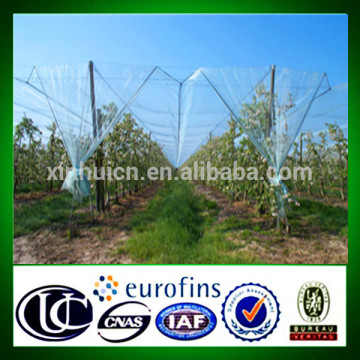 Plastic frost damage tomatoe anti hail net