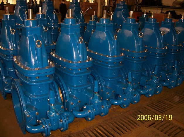 BS5163 Gate Valve by Pass