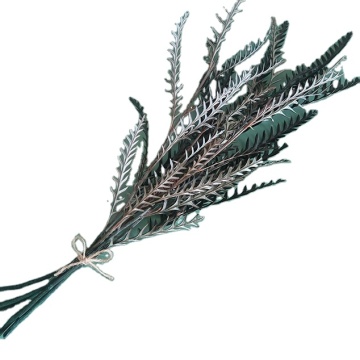 Real Plant LongLasting Forever Dried Preserved Fern