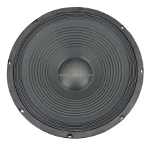12 Inch Professional Audio PA Speaker - 120W Max