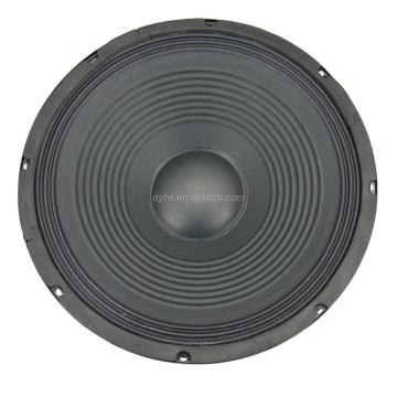 12 Inch Professional Audio PA Speaker - 120W Max