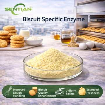 Biscuit specific enzyme
