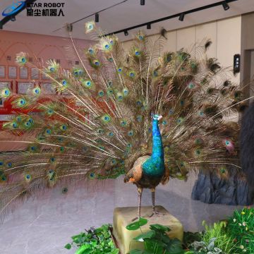 Real Peacock Feathers Animatronic Peacock for Sale