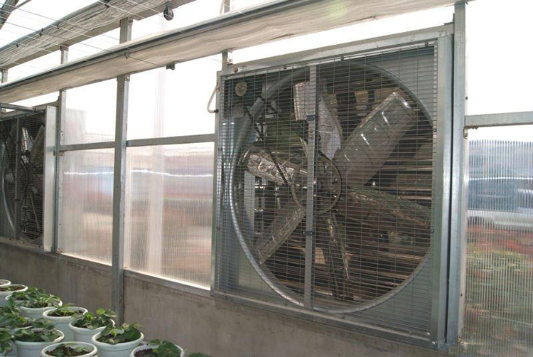 Ventilador de fluxo axial Axial Flow Fan