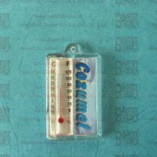 Keychain with Thermograph (KYC23089)