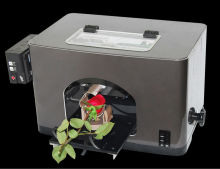 Digital Red Rose Flower Printer