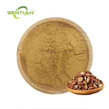 High-quality Salvia miltiorrhiza extract