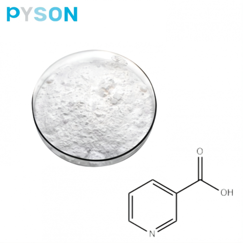 Vitamine B3 niacine de haute qualité CAS 59-67-6