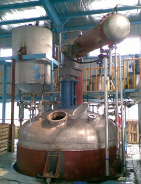 Reactor Tank for Paint