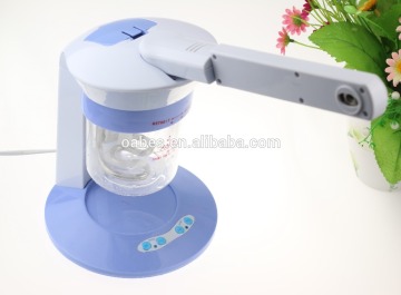 Desktop beauty facial steamer hot water steamer