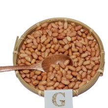 GEKO Food Bulk Wholesales: Raw Peanuts for Baking and Health Products
