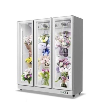 Commercial Flower Cabinet Preservation Fridge Refrigeration Equipment from China