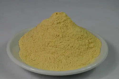 Dried Agaricus Bisporus Powder Champignon Mushroom Powder