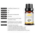 In Stock Massage Chamomile Essential Oil for Diffuser