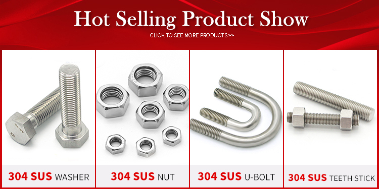 Custom made Various Stainless Steel Spring Washers