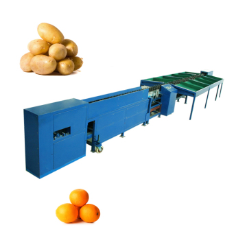 Dragon Fruits/Pitaya Weight Sorting Packing Machine