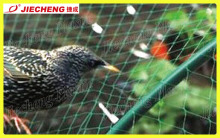 PP Stretch Net Machine