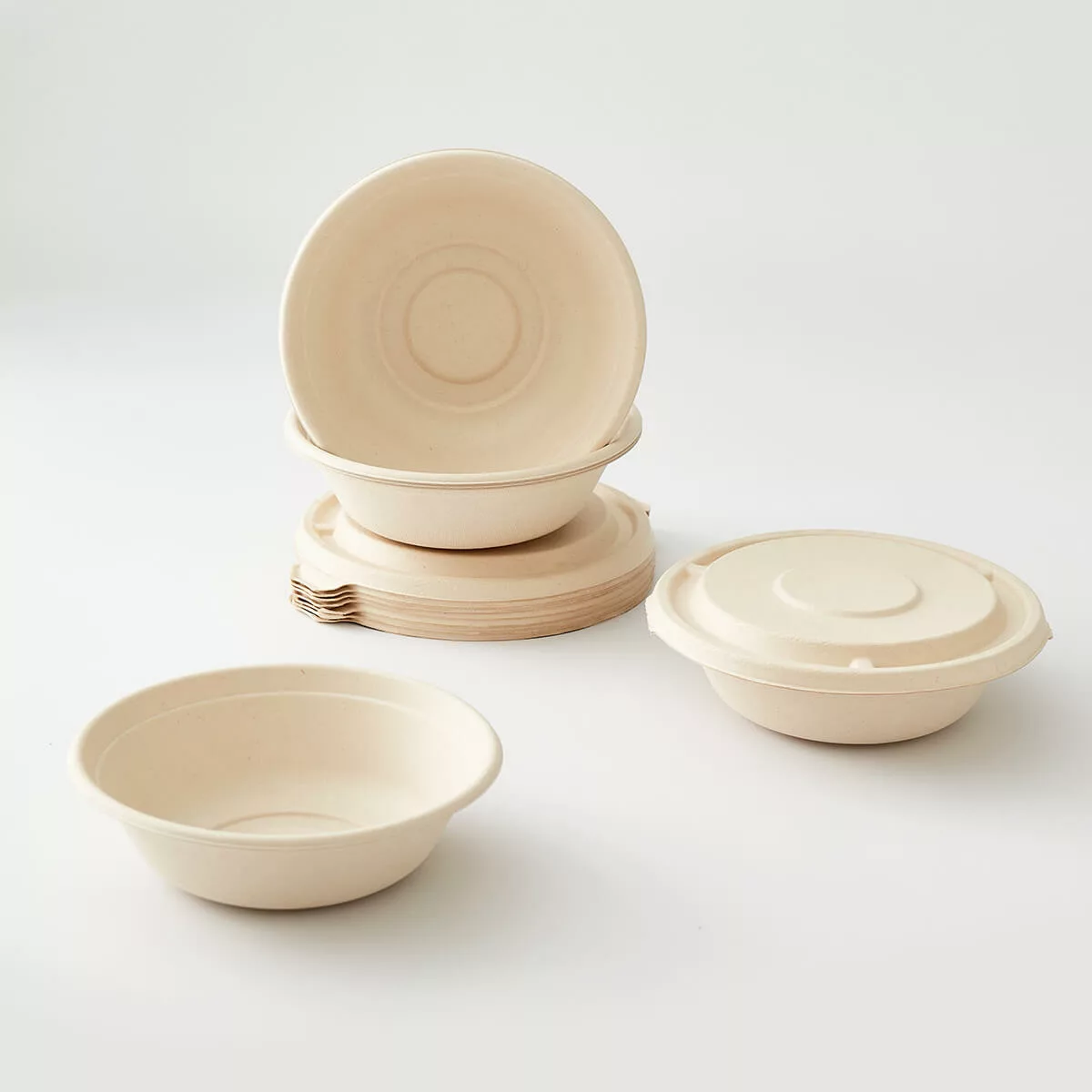 sugarcane pulp plates