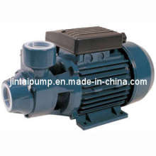 Water Pump (QB)