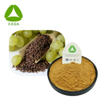 Extracto de semillas de uva polvo antioxidantes naturales naturales.