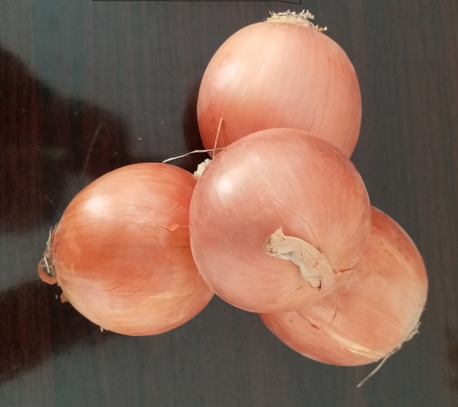 Fresh white onion new crop