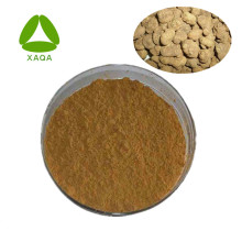 Tetrahydropalmatine Corydalis Extract Powder CAS 10097-84-4