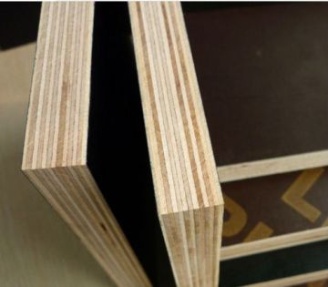 Customized Plywood Film Faced Board