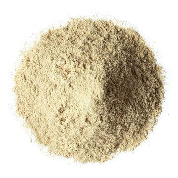 polvo de extracto de hongo shiitake orgánico a granel
