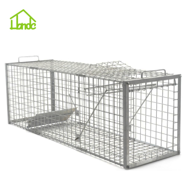 Best Cage To Trap Wild Hogs