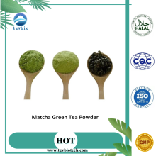 Fournir une poudre de matcha à thé vert matcha de haute qualité