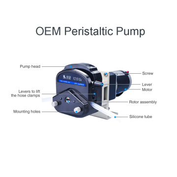 อุปกรณ์จับคู่มอเตอร์ DC ขนาดเล็ก OEM ปั๊ม peristaltic