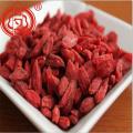 Buah-buahan Goji Berries yang kaya nutrien