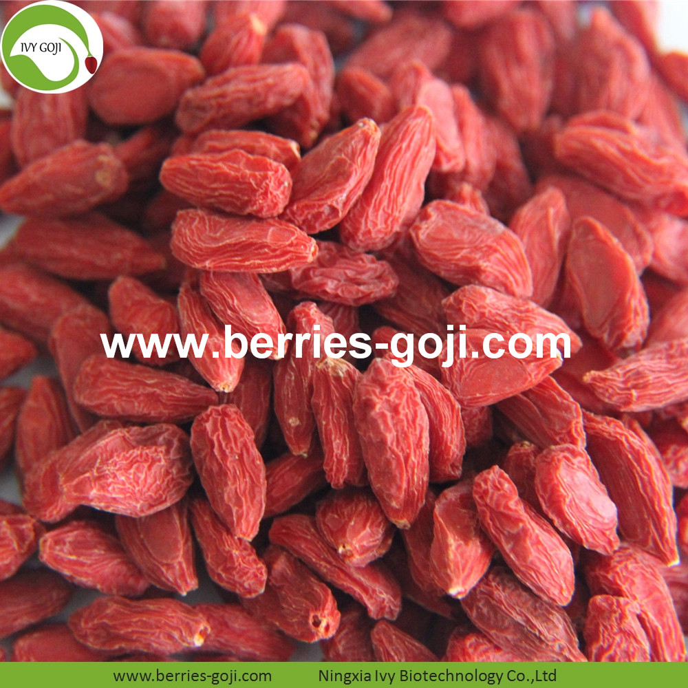 Tibetan Goji