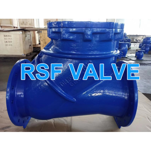 Высококачественный пластичный железо NBR/EPDM Check Check Valve