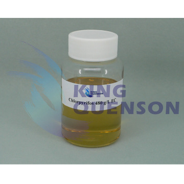 King Quenson Fast Deliveryl Pesticide Insecticide 97% Tc Chlorpyrifos 15% Gr