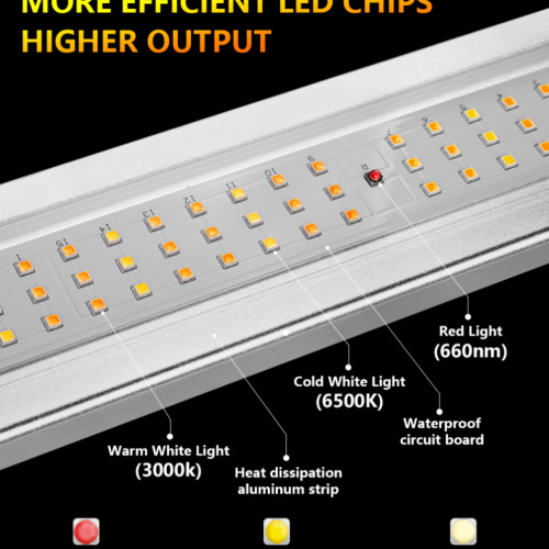 Phlizon Foldable 640W एलईडी लाइट क्वांटम बढ़ता है