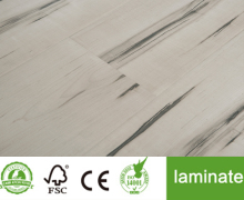 European Stylish Rustic Oak Laminate Tile
