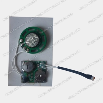 Sound Chip for Newspaper, Light Sensor Module, Sound Chip