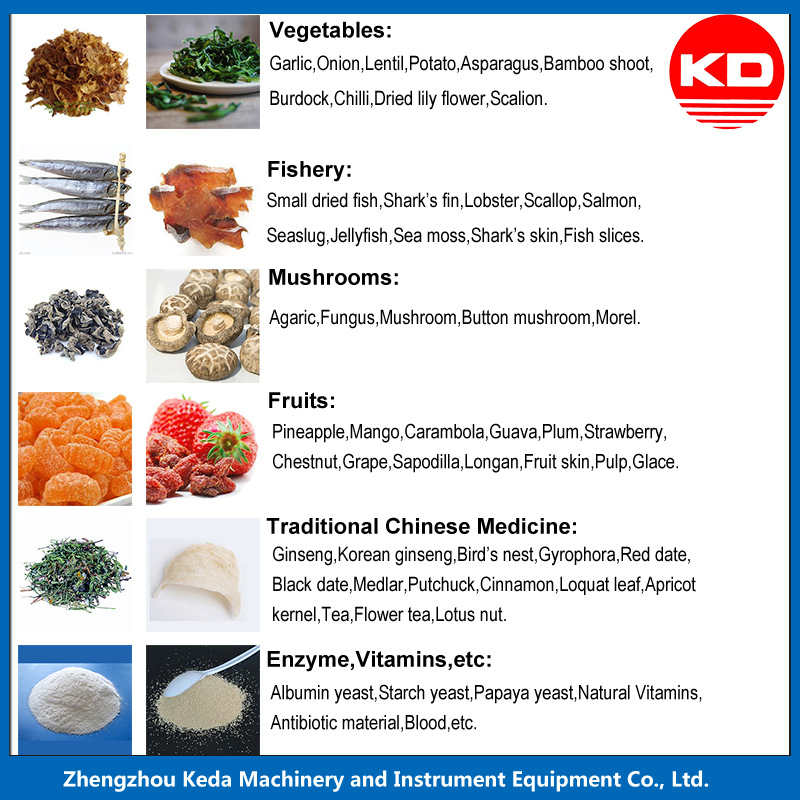 High Quality Freeze Dryer for Food