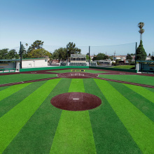 Rumput Buatan Lapangan Baseball