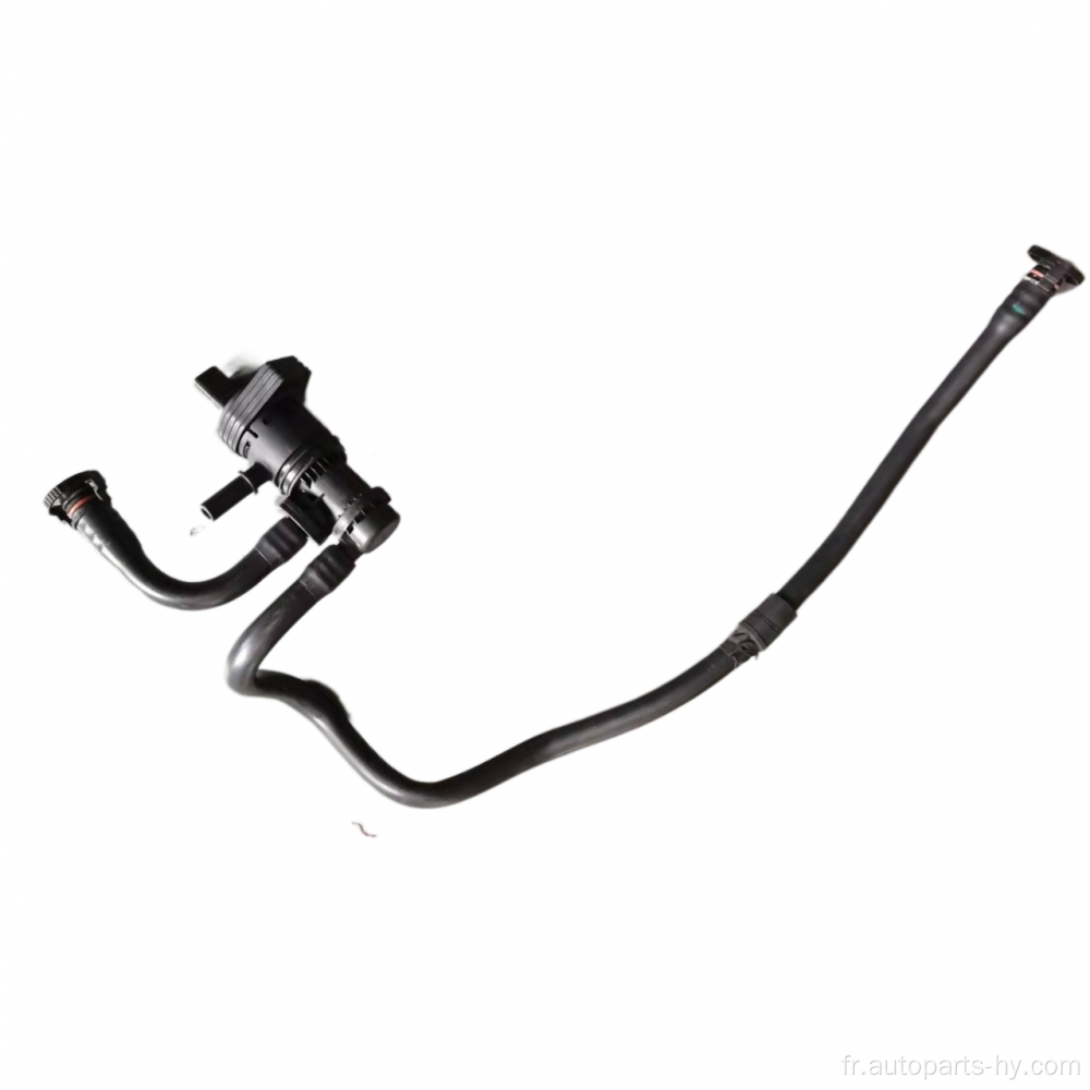 La vanne de reniflard du réservoir de carburant s&#39;adapte BMW X5 E53, E70 13907537113