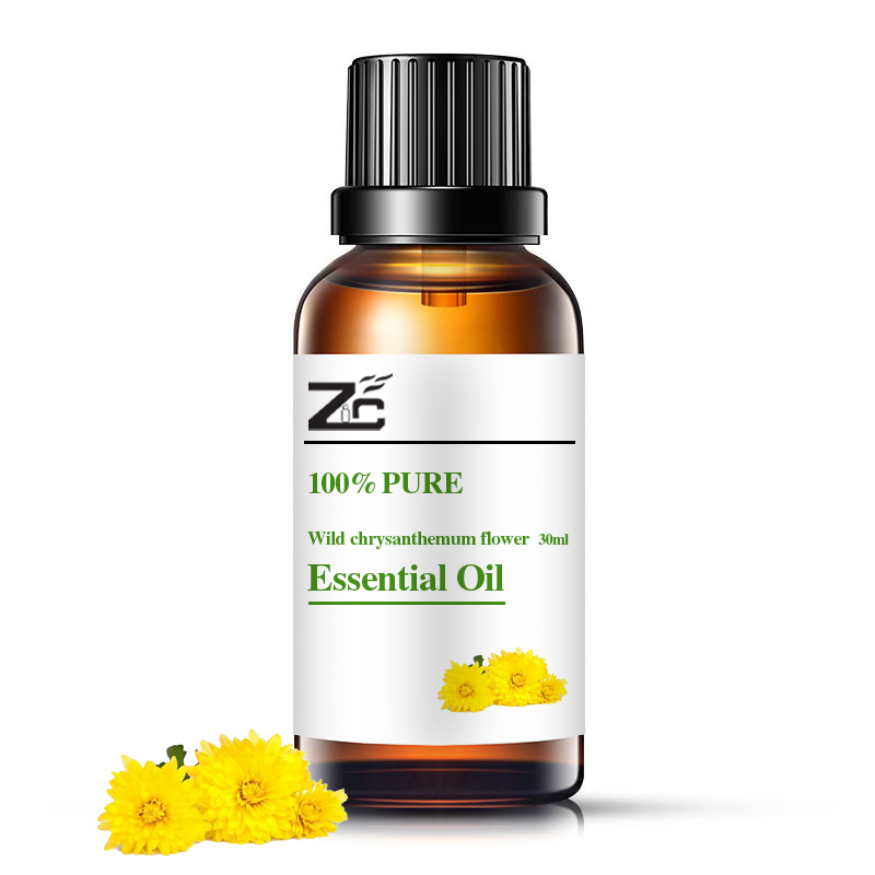 Wild chrysanthemum flower essential oil