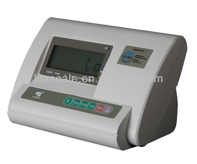 Platform Scale Indicator A12