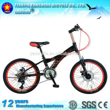 Warrior 20'' mountain bike/mountain bikes for sale/mountain bike/cheap mountain bikes/cheap mountain bikes for sale/mtb/mtb bike