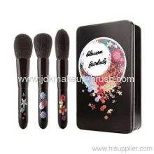 Elegant Cosmetic Brush Set?