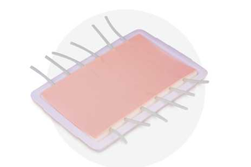 Venotomy Procedure Training Model