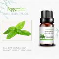 Water Soluble Peppermint Essential Oil Organic For Soaps