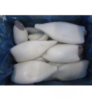 China Factory High Quality Good Price Frozen Whole Cleaned Giant Squid Tube Wholesale