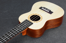 23 inch spruce noodles ukulele